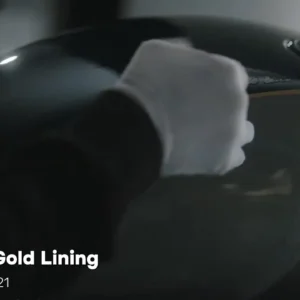 The Art Of Gold Lining