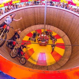 Last Minute Addition To Ardingly Summer Show
